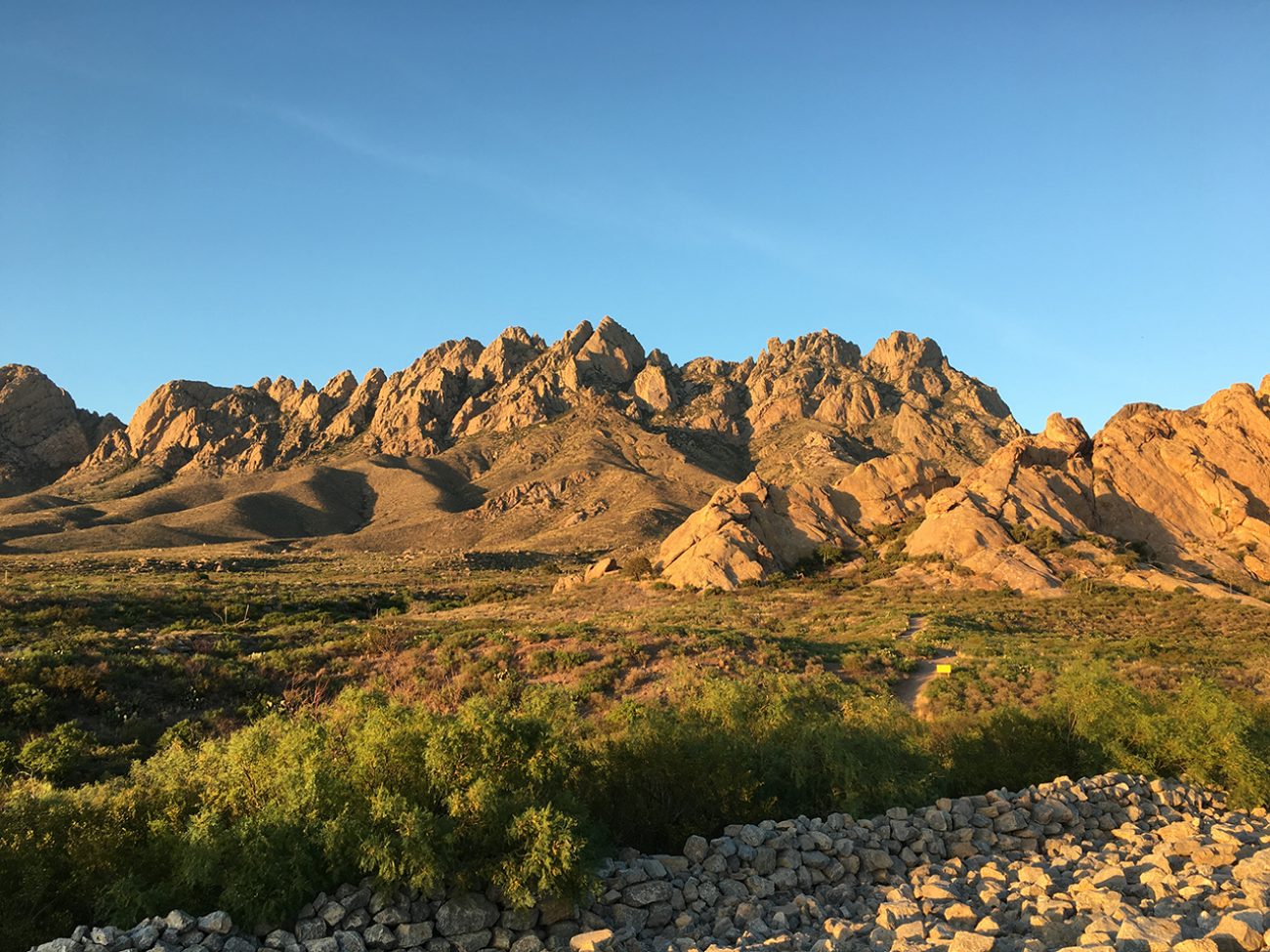 Organ Mountains