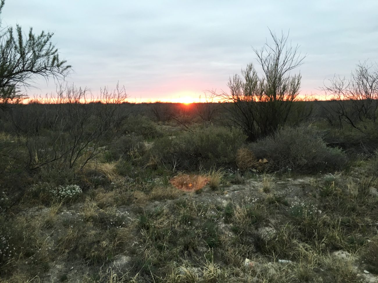 Pecos Sunset