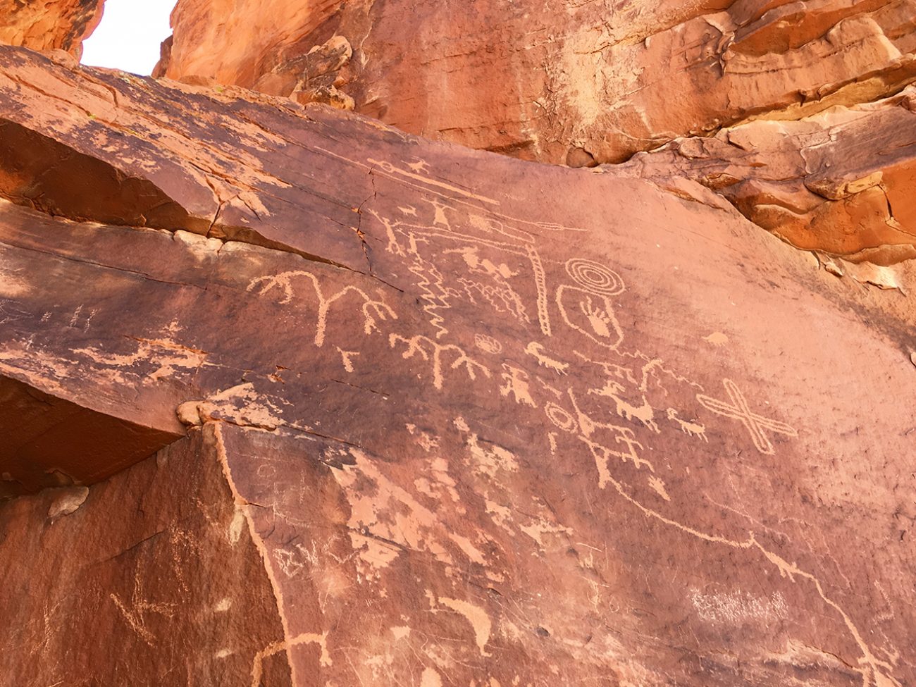 Petroglyphs!