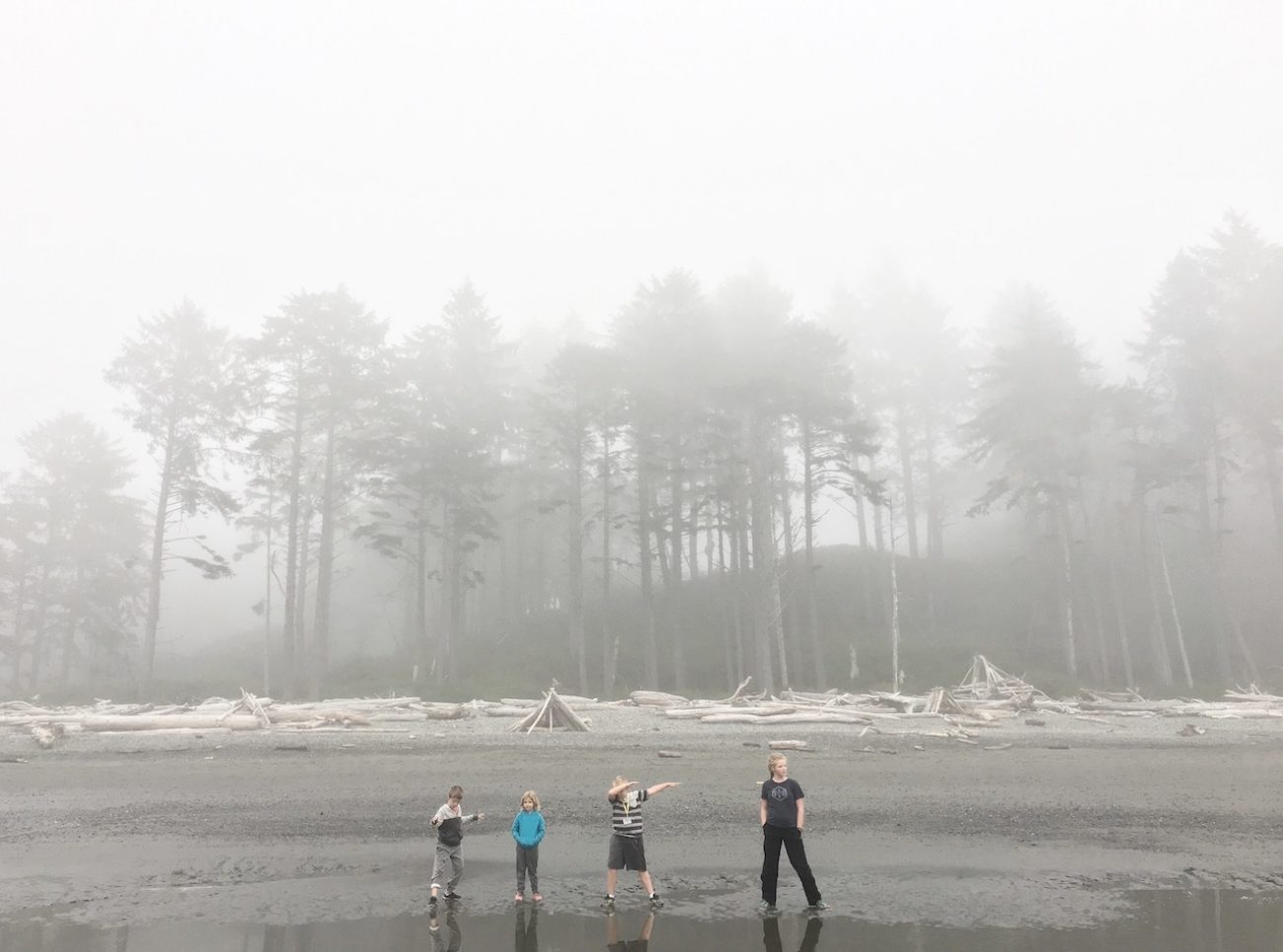 ruby beach walk