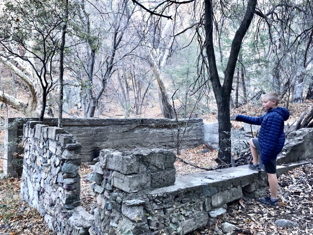 Ruins in Miller Canyon