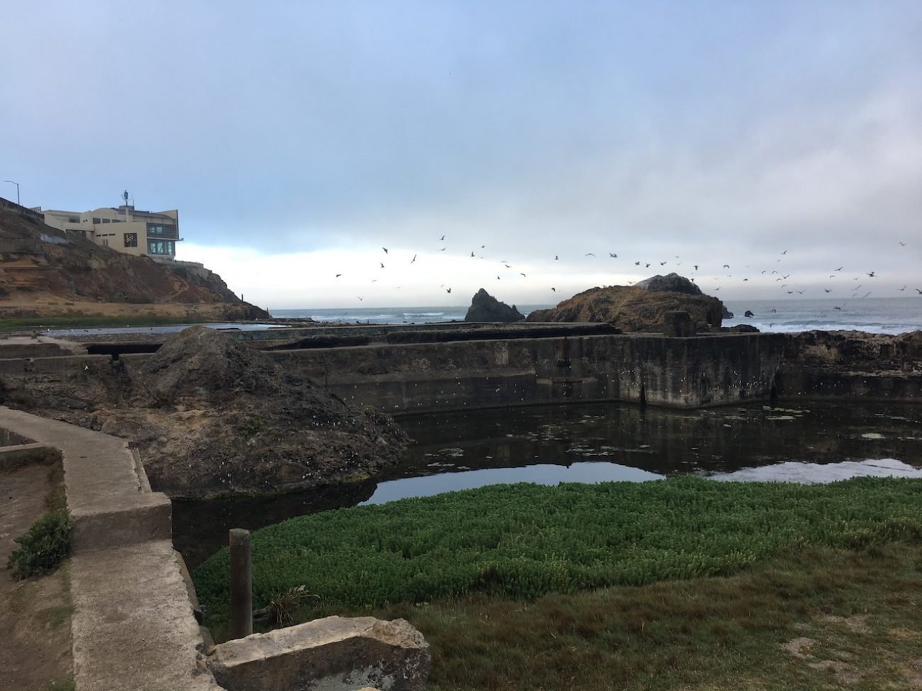 sutro baths 2