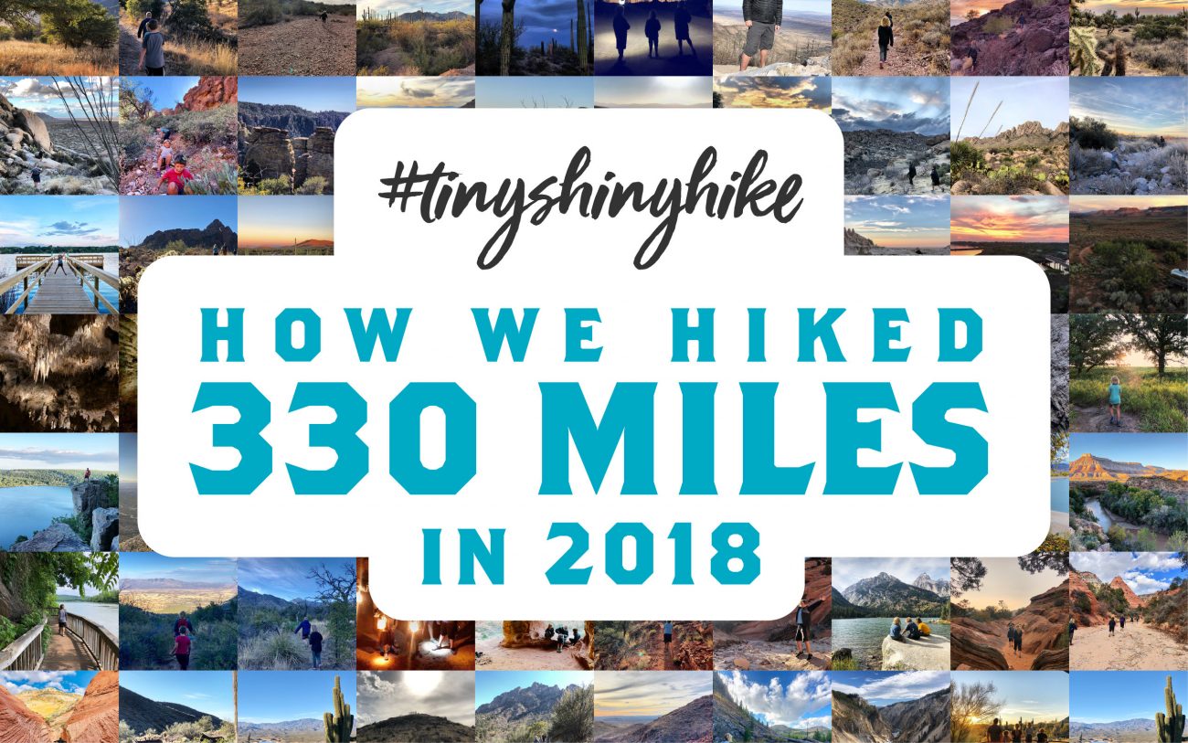 Tinyshinyhike2018 Poster