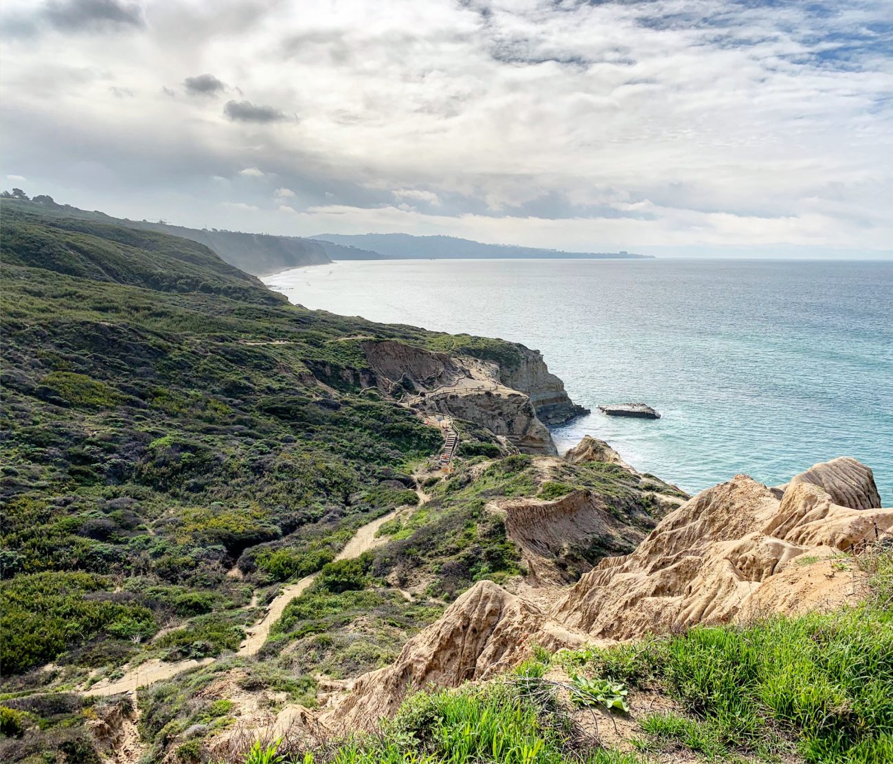 Torrey Pines