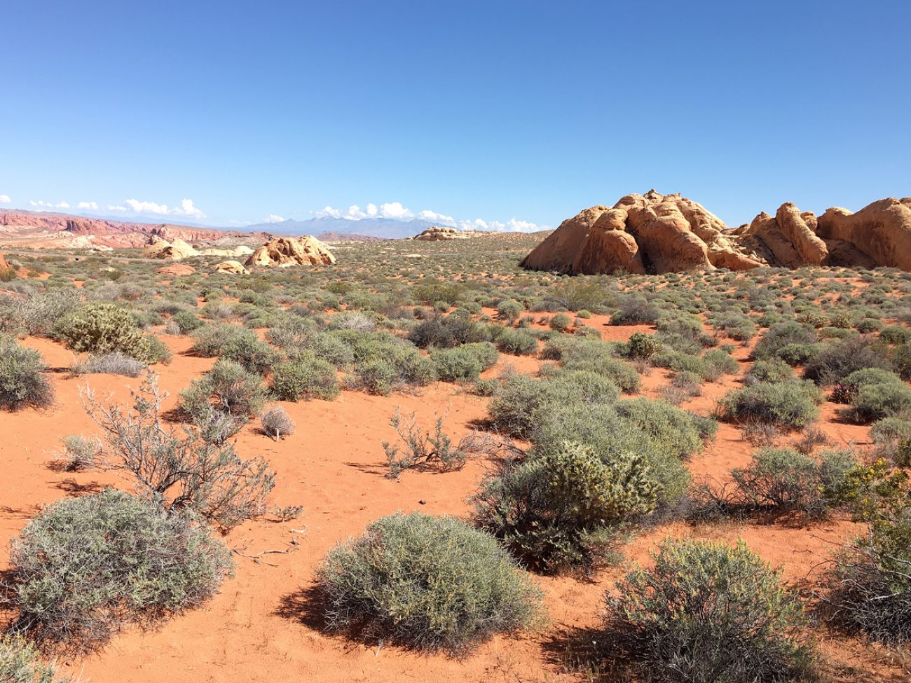 best hikes in valley of fire