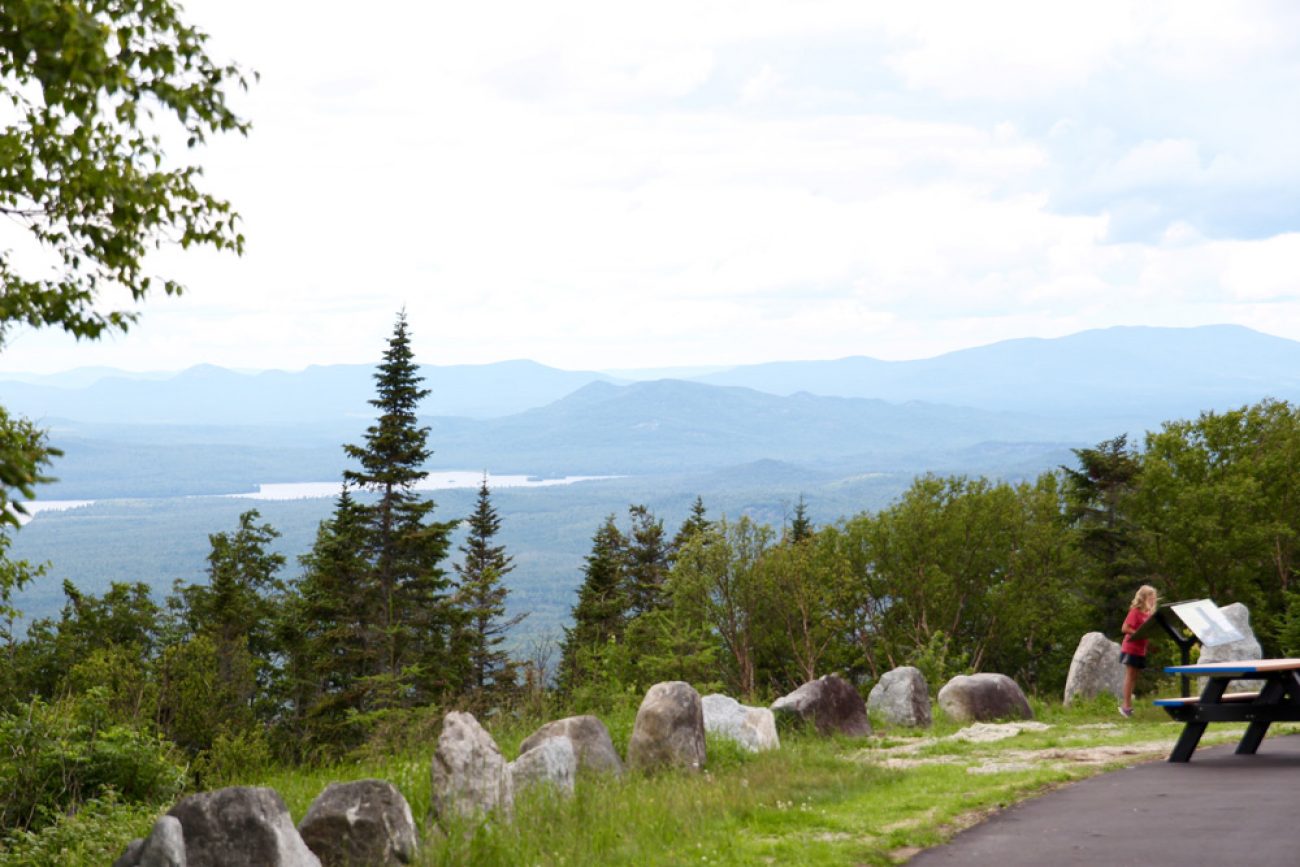 Whiteface1