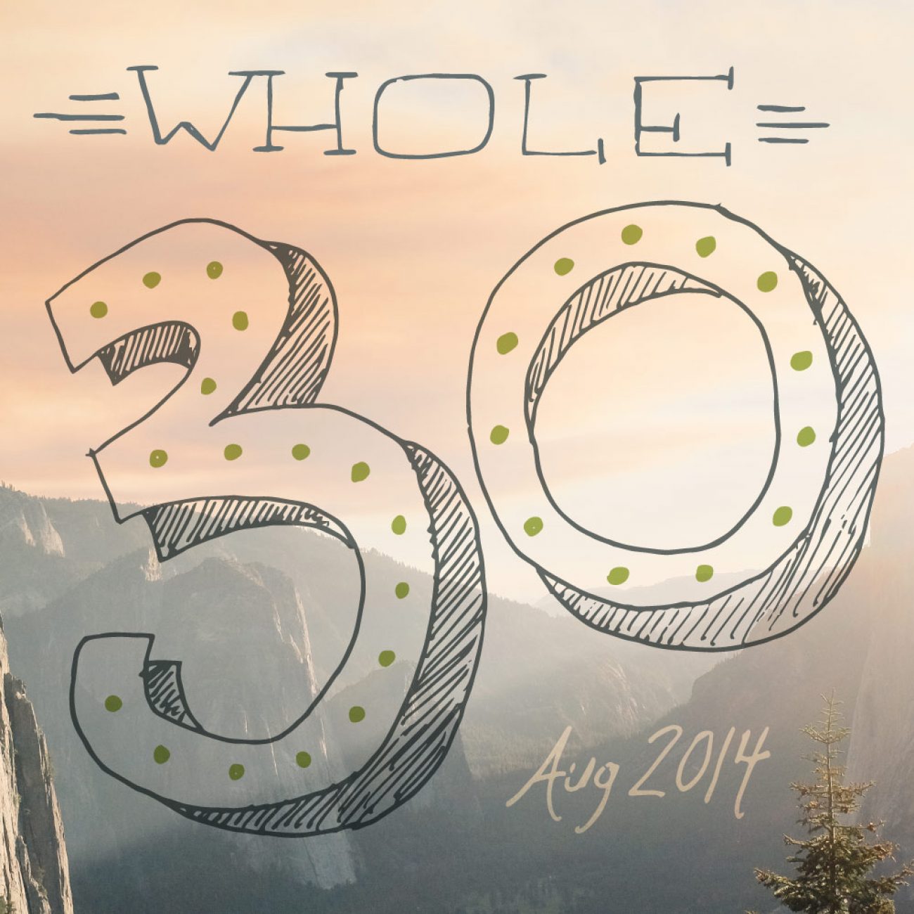 Whole 30 Aug 2014