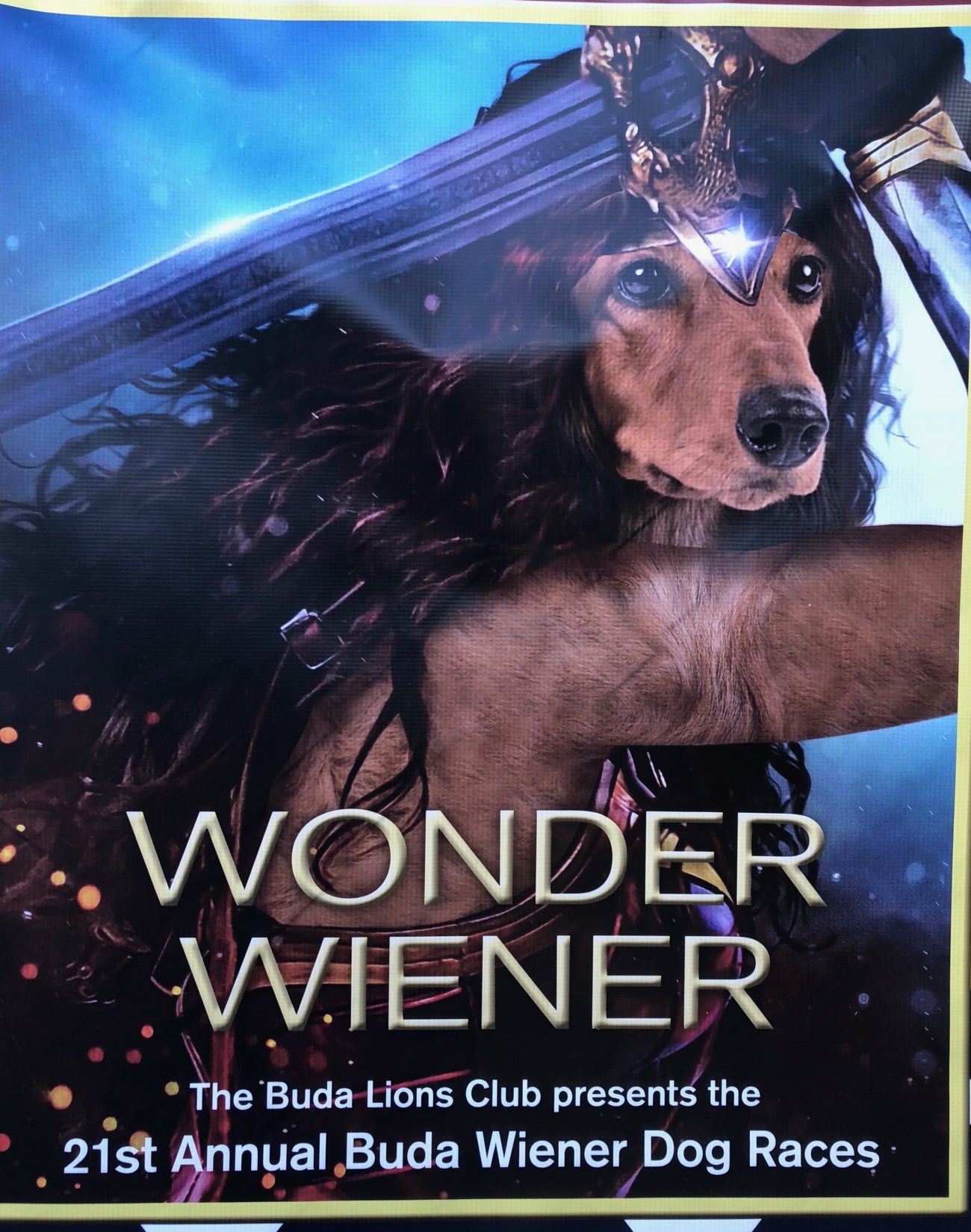 Wiener Dog Race