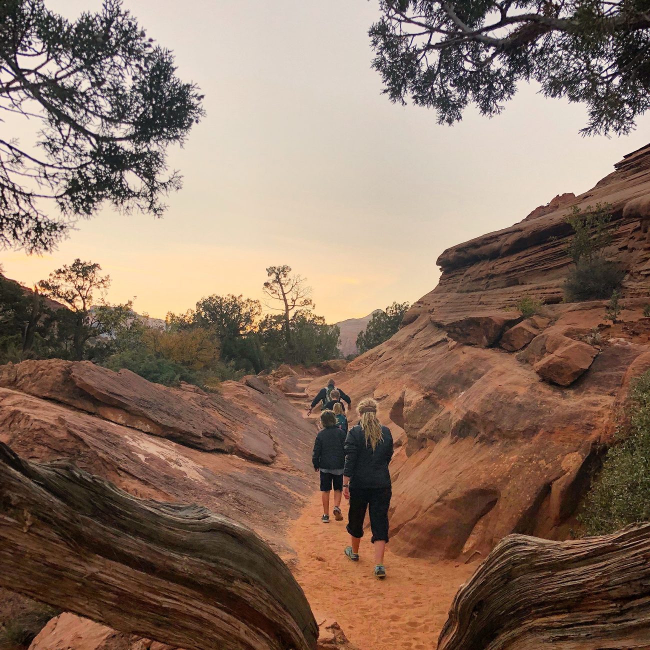 Zion Sunset Overlook