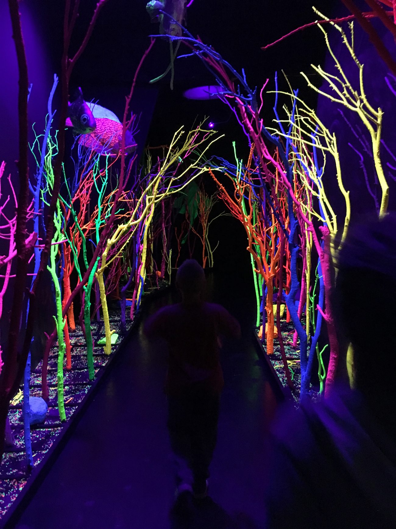 Meow Wolf Colorful Trees