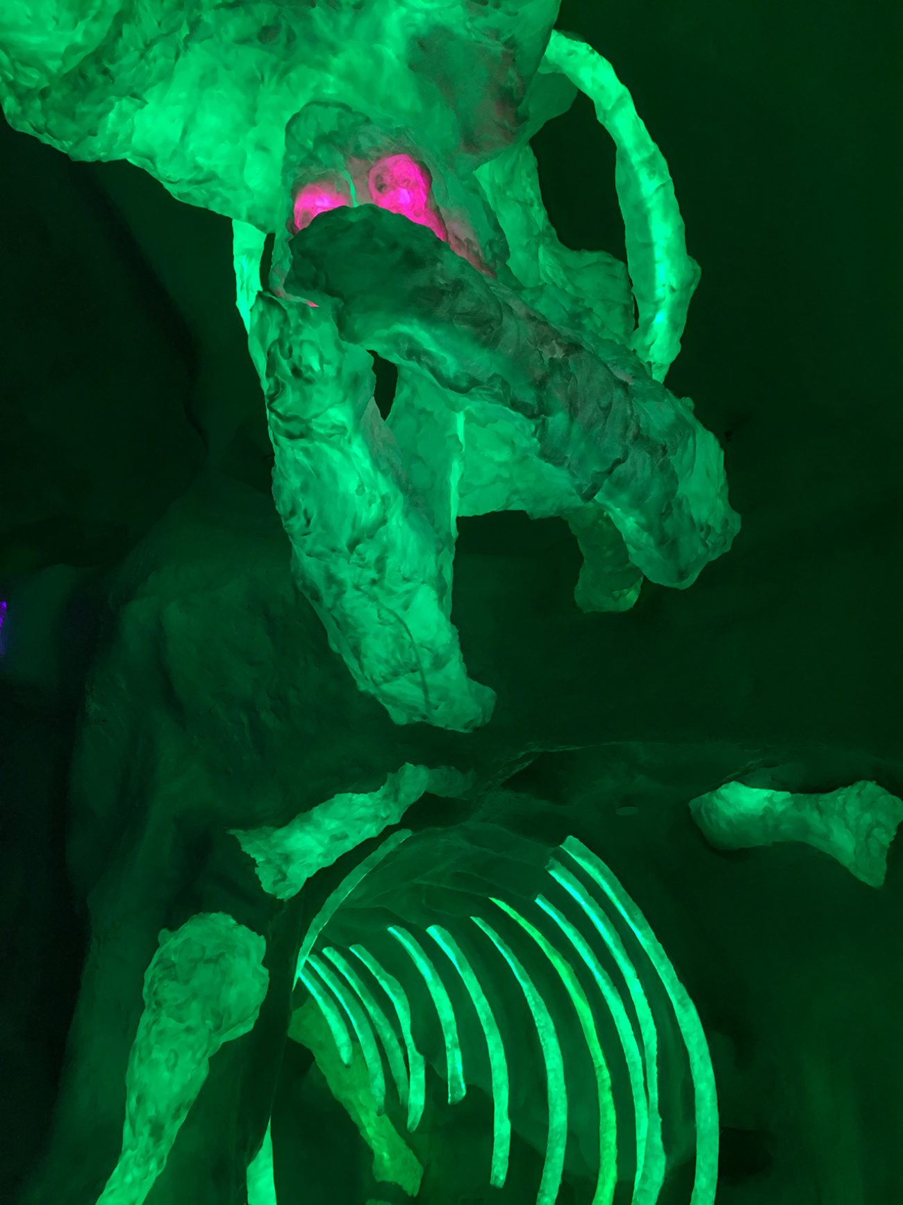 Meow Wolf Green