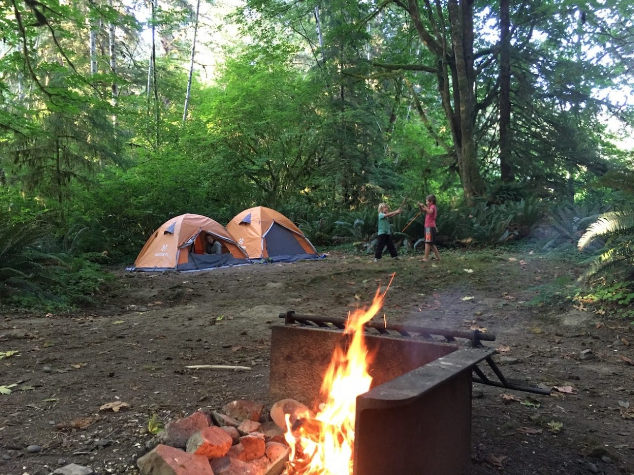 campfire in rainforest