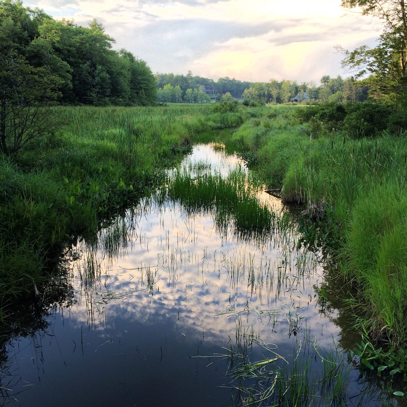 Land Trust